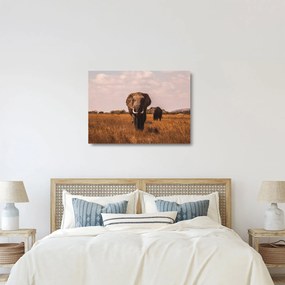 Kép - Az elefánt érkezése (üvegen) (70x50 cm)