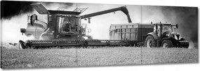 Képek 120x40 Aratás Traktor Kombájn