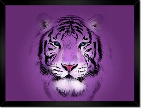 Poszterek keretben 40x30 Lila tigris kép