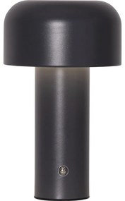 Szürke LED asztali lámpa (magasság 21,5 cm) Bobby – Star Trading