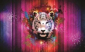 Tigris poszter, fotótapéta, Vlies (104 x 70,5 cm)