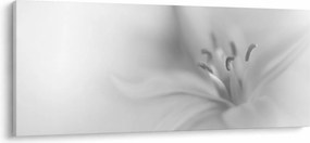 Kép - Delicate Lily (120x50 cm)
