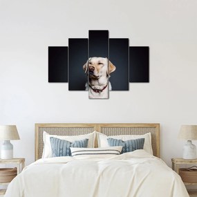 Labrador képe (150x105 cm)