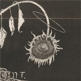 Modern fotótapéta Flizelina a falra Nosztalgikus napraforgó 250x250