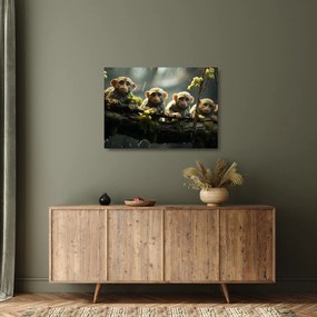 Üveg kép - Majmok (70x50 cm)