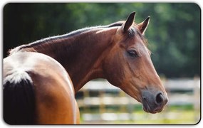 Ló Vágódeszka dekoratív Remember 20x14 cm