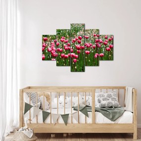 Tulipán képe (150x105 cm)