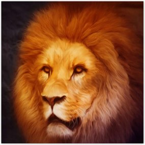 Poszterek 100x100 Oroszlánkirály