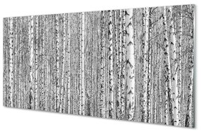 Üvegképek Fekete-fehér fa erdő 125x50 cm