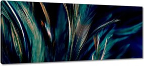 Vászonkép 100x40 Puha pávatollak