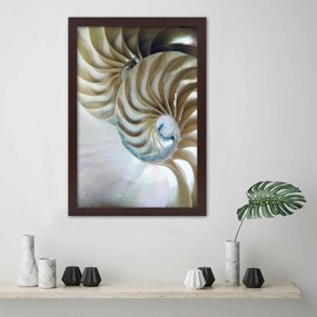Gario Poszter Egy kagyló belseje A keret színe: Fekete, Méret: 70 x 100 cm