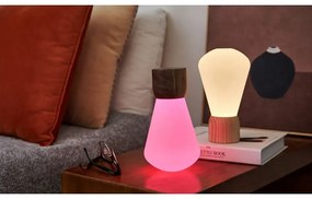 Natúr színű szabályozható asztali lámpa (magasság 13 cm) Pentagon – Gingko