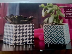 Szett 2 db Kamień virágcserép Melinera 8,5 cm x 7,8 x 8,5 cm (70/RT2021)