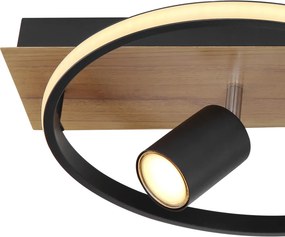GLOBO 67309-36 DANNY Modern LED Mennyezeti Lámpa LED IP20