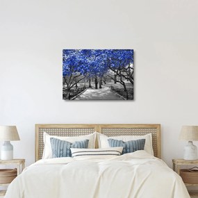 Kép - Kék fák, Central Park, New York (70x50 cm)