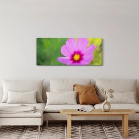 Kép - réti virág (120x50 cm)