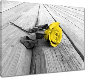 Vászonkép 50x40 Sárga rózsa a deszkákon