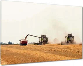 Vászonkép 100x70 Kombájn a gabona betakarításához