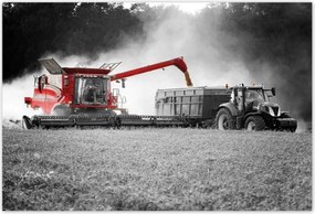 Poszterek 200x135 Piros traktor Aratás