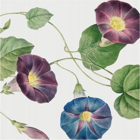 Fotótapéta Flizelin Hálószoba fal Virágos elegancia 250x250