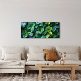 Kép - Zöld növények (120x50 cm)