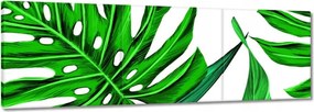 Vászonkép 90x30 Zamatos Monstera Trópusok