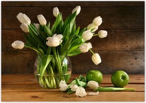 Poszterek 100x70 Fehér tulipánok