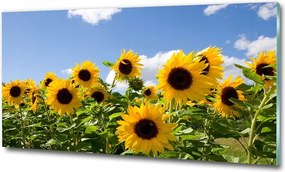 Fotó kép edzett üveg Nyírfatörzsek 125x50