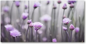 Fotó üvegkép Metélőhagyma virágok 140x70