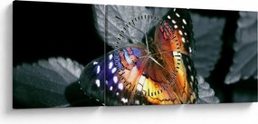 Pillangó képe (órával) (90x30 cm)
