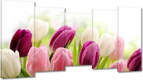 Vászonkép 150x80 Gyönyörű tulipánok