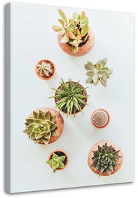 Gario Vászonkép Növények cserépben Méret: 40 x 60 cm
