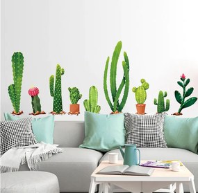 Vidám Fal |  Falmatrica Kaktuszok