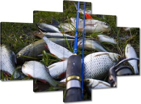 Képek 150x105 Kis halak a fűben