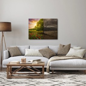 Kép - Életciklus (70x50 cm)
