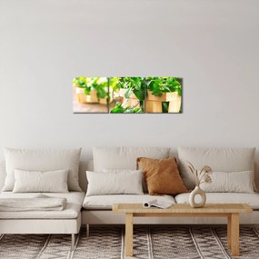 Friss menta képe (órával) (90x30 cm)