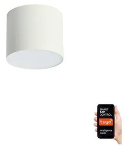 Immax Neo Immax NEO 07241L - LED Dimmelhető lámpa RONDATE 18W/230V 11,5cm Wi-Fi Tuya IM1318