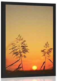 Poszter fű szállak naplementénél