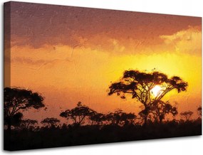 Vászonkép Szavanna Fa Naplemente 80x50 cm Ajándéknak is tökéletes