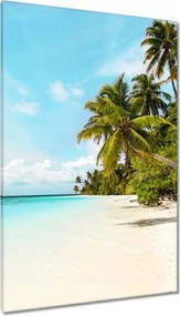 Vászonkép 80x120 Trópusok Tájkép Pálmafák