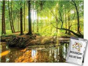 Fotótapéta Erdő Nap A Nappali Hálószobájába Flizelina Fali Tapéta 250x175