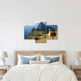 Kép - Láma és Machu Picchu (90x60 cm)
