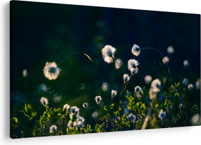Kép - Fű (90x60 cm)