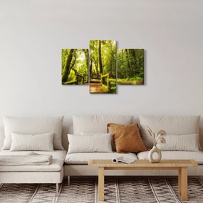 Mohás dzsungel képe (90x60 cm)