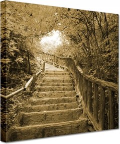 Vászonkép 20x20 Lépcsők szépia színben