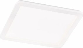 Trio CAMILLUS R62932001 LED panel 1x24w/led 3000k 2000lm ip44