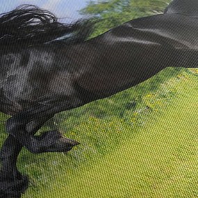 Kép - Ló hullámzó sörénnyel (150x105 cm)