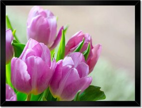 Poszterek keretben 40x30 Tulipánok Virágok