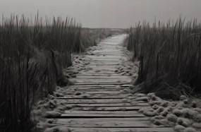 Poszter 91,5x60cm A csend ösvénye Dűnék