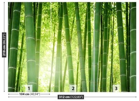 Fotótapéta bambusz erdő 104x70 cm